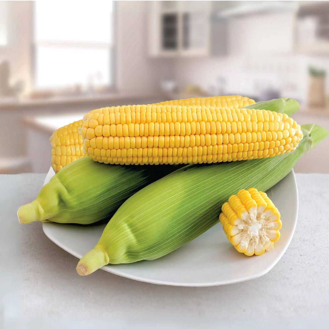 Jagung Segar